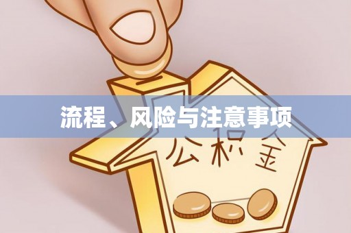 苍梧流程、风险与注意事项